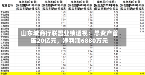 山东城商行联盟业绩透视：总资产首破20亿元，净利润6880万元