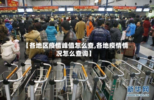 【各地区疫情峰值怎么查,各地疫情情况怎么查询】