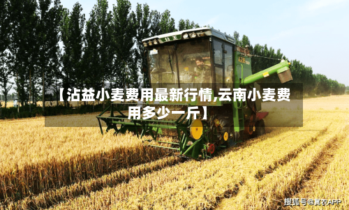 【沾益小麦费用最新行情,云南小麦费用多少一斤】