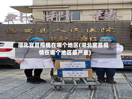 湖北宜昌疫情在哪个地区(湖北宜昌疫情在哪个地区最严重)