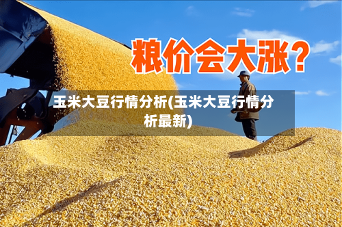 玉米大豆行情分析(玉米大豆行情分析最新)