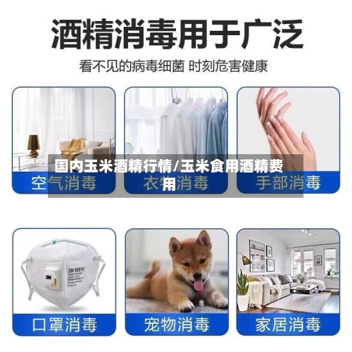 国内玉米酒精行情/玉米食用酒精费用