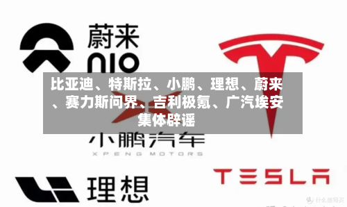比亚迪	、特斯拉、小鹏、理想、蔚来	、赛力斯问界、吉利极氪、广汽埃安集体辟谣-第2张图片