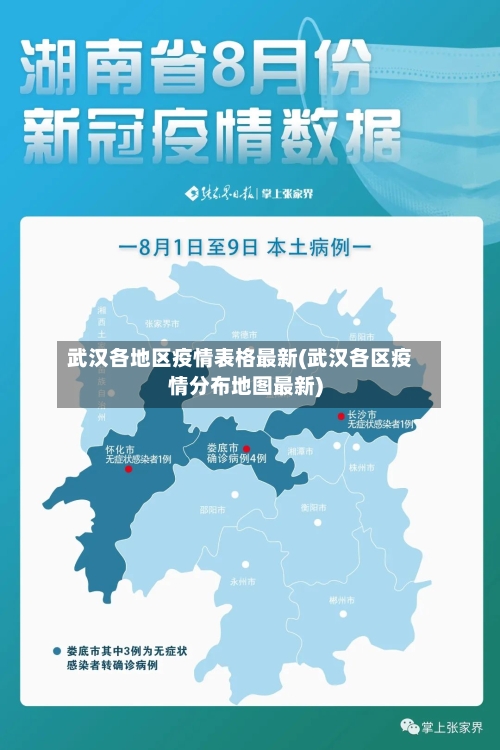 武汉各地区疫情表格最新(武汉各区疫情分布地图最新)