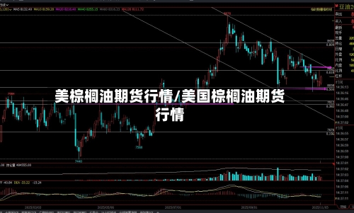 美棕榈油期货行情/美国棕榈油期货行情-第3张图片