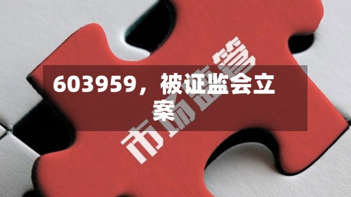 603959，被证监会立案-第2张图片