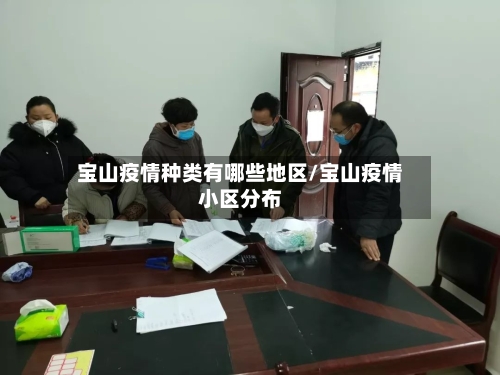 宝山疫情种类有哪些地区/宝山疫情小区分布-第3张图片