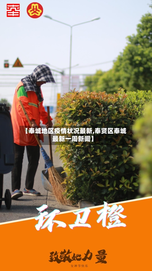 【奉城地区疫情状况最新,奉贤区奉城最新一周新闻】-第3张图片