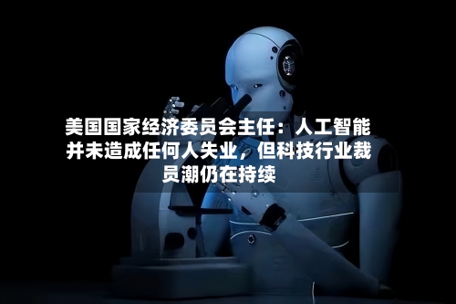 美国国家经济委员会主任：人工智能并未造成任何人失业，但科技行业裁员潮仍在持续-第3张图片