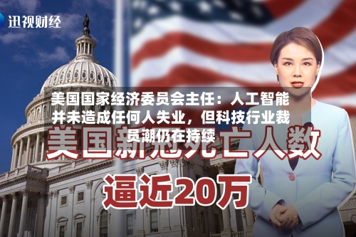 美国国家经济委员会主任：人工智能并未造成任何人失业，但科技行业裁员潮仍在持续