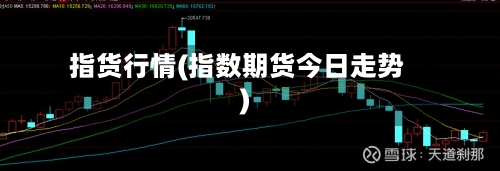 指货行情(指数期货今日走势)