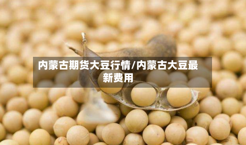 内蒙古期货大豆行情/内蒙古大豆最新费用