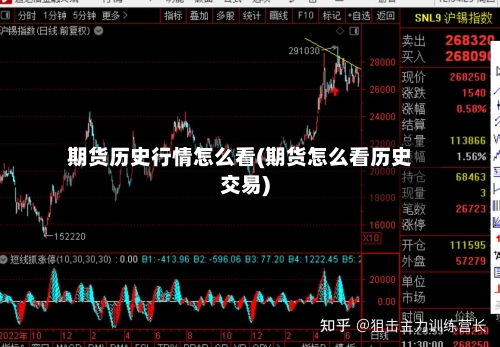 期货历史行情怎么看(期货怎么看历史交易)-第2张图片