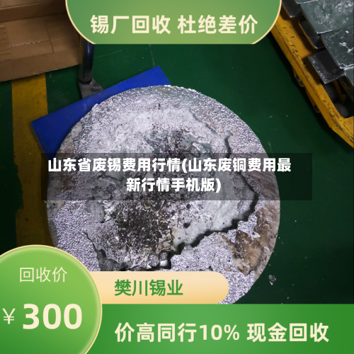 山东省废锡费用行情(山东废铜费用最新行情手机版)-第2张图片