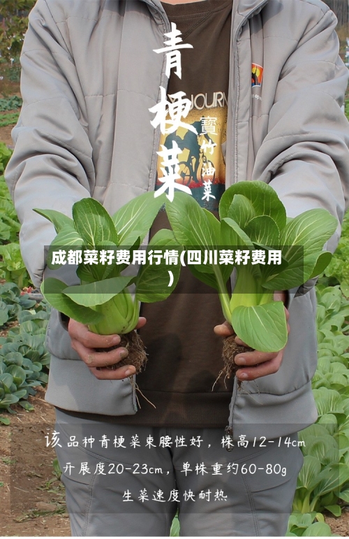 成都菜籽费用行情(四川菜籽费用)