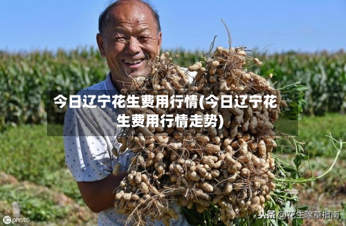 今日辽宁花生费用行情(今日辽宁花生费用行情走势)