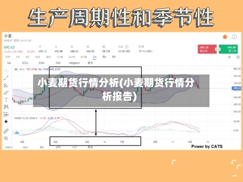 小麦期货行情分析(小麦期货行情分析报告)