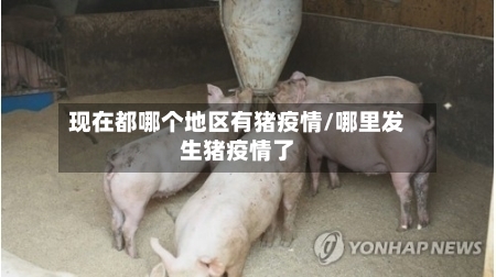 现在都哪个地区有猪疫情/哪里发生猪疫情了-第2张图片