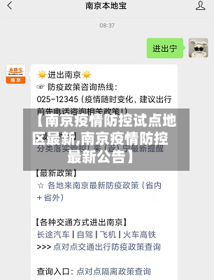 【南京疫情防控试点地区最新,南京疫情防控最新公告】-第2张图片