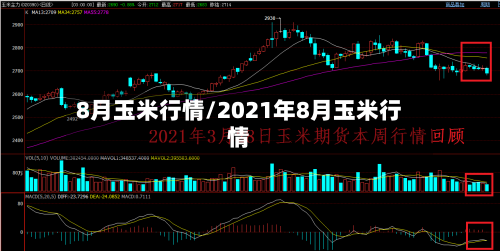 8月玉米行情/2021年8月玉米行情