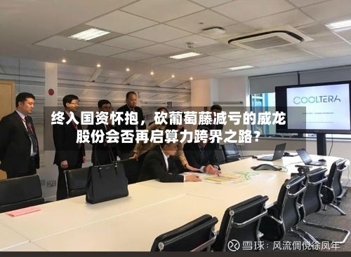 终入国资怀抱	，砍葡萄藤减亏的威龙股份会否再启算力跨界之路？-第2张图片