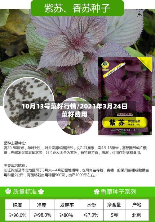 10月13号菜籽行情/2021年3月24日菜籽费用
