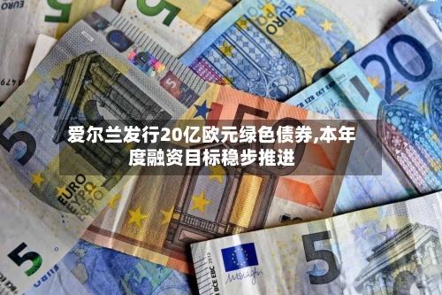 爱尔兰发行20亿欧元绿色债券,本年度融资目标稳步推进-第2张图片
