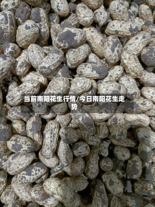 当前南阳花生行情/今日南阳花生走势-第2张图片