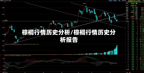棕榈行情历史分析/棕榈行情历史分析报告