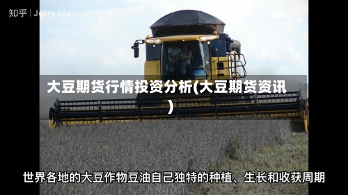 大豆期货行情投资分析(大豆期货资讯)