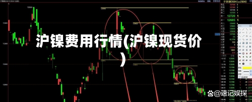 沪镍费用行情(沪镍现货价)