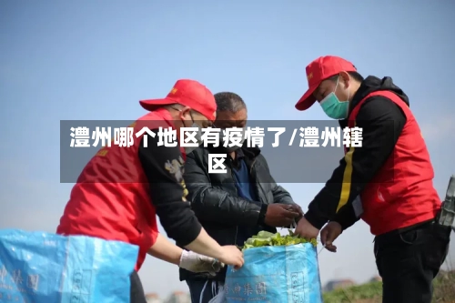 澧州哪个地区有疫情了/澧州辖区