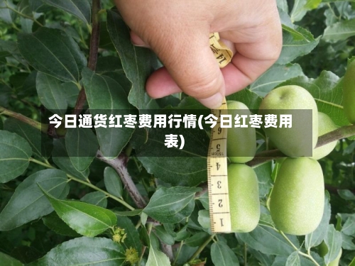 今日通货红枣费用行情(今日红枣费用表)