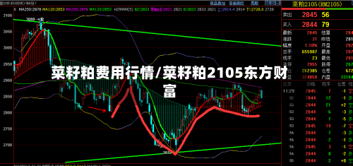 菜籽粕费用行情/菜籽粕2105东方财富-第3张图片