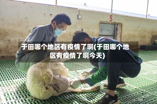 于田哪个地区有疫情了啊(于田哪个地区有疫情了啊今天)-第2张图片