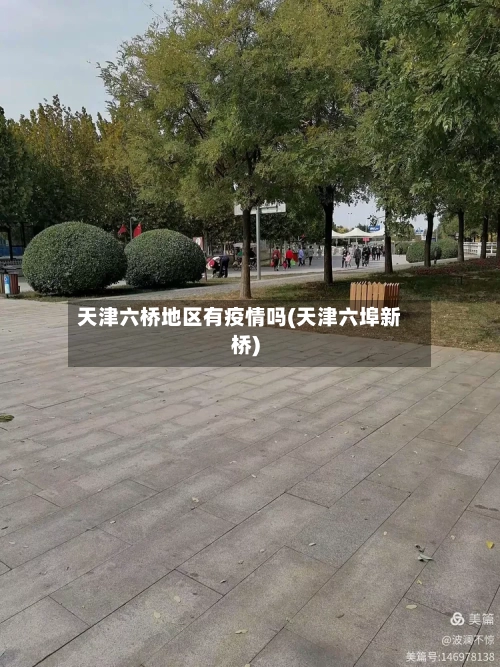 天津六桥地区有疫情吗(天津六埠新桥)