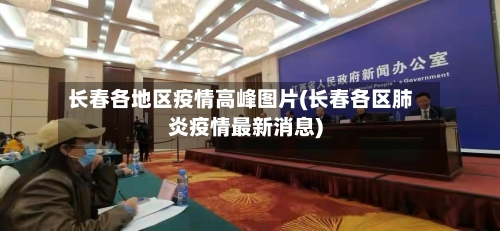 长春各地区疫情高峰图片(长春各区肺炎疫情最新消息)