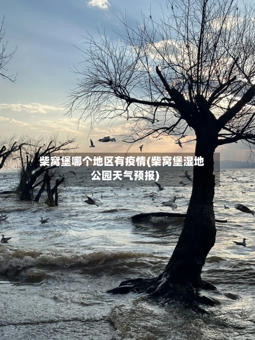 柴窝堡哪个地区有疫情(柴窝堡湿地公园天气预报)