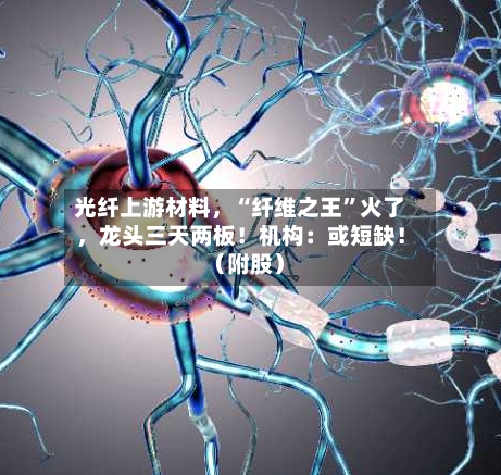 光纤上游材料，“纤维之王”火了，龙头三天两板！机构：或短缺！（附股）-第2张图片