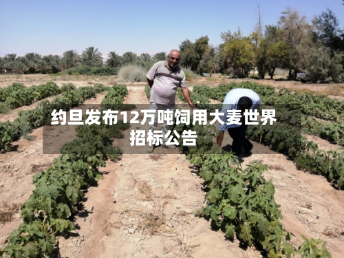 约旦发布12万吨饲用大麦世界
招标公告-第2张图片