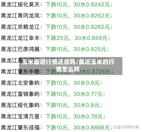 玉米最近行情还涨吗/最近玉米的行情怎么样-第2张图片