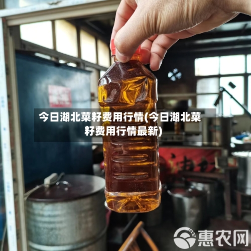 今日湖北菜籽费用行情(今日湖北菜籽费用行情最新)