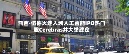 凯西·伍德火速入场人工智能IPO热门股Cerebras并大举建仓-第2张图片