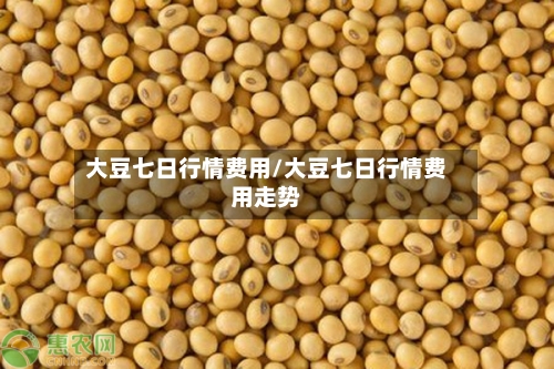 大豆七日行情费用/大豆七日行情费用走势-第2张图片