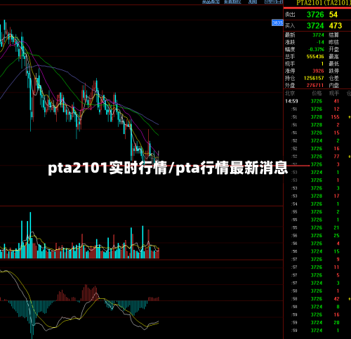 pta2101实时行情/pta行情最新消息