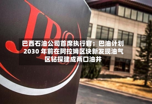 巴西石油公司首席执行官：巴油计划 2030 年前在阿拉姆区块新发现油气区钻探建成两口油井-第3张图片