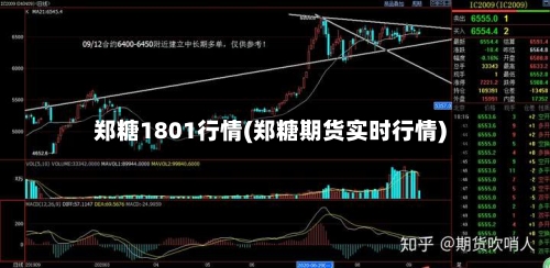 郑糖1801行情(郑糖期货实时行情)