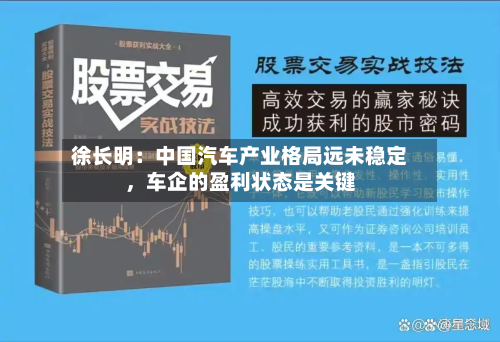徐长明：中国汽车产业格局远未稳定，车企的盈利状态是关键-第2张图片