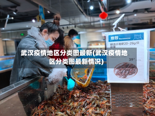 武汉疫情地区分类图最新(武汉疫情地区分类图最新情况)