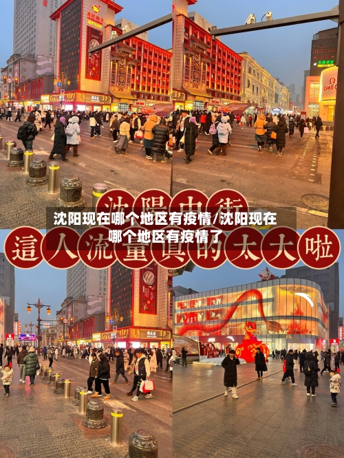 沈阳现在哪个地区有疫情/沈阳现在哪个地区有疫情了-第2张图片